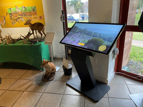 50" Windows PCAP Touch Screen Kiosk, PCAP Touch, Integrated Android, Touch Monitor and Windows Versions, Internal Locker - Image 5