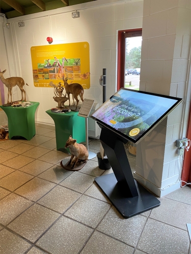 50" Windows PCAP Touch Screen Kiosk, PCAP Touch, Integrated Android, Touch Monitor and Windows Versions, Internal Locker - Image 6
