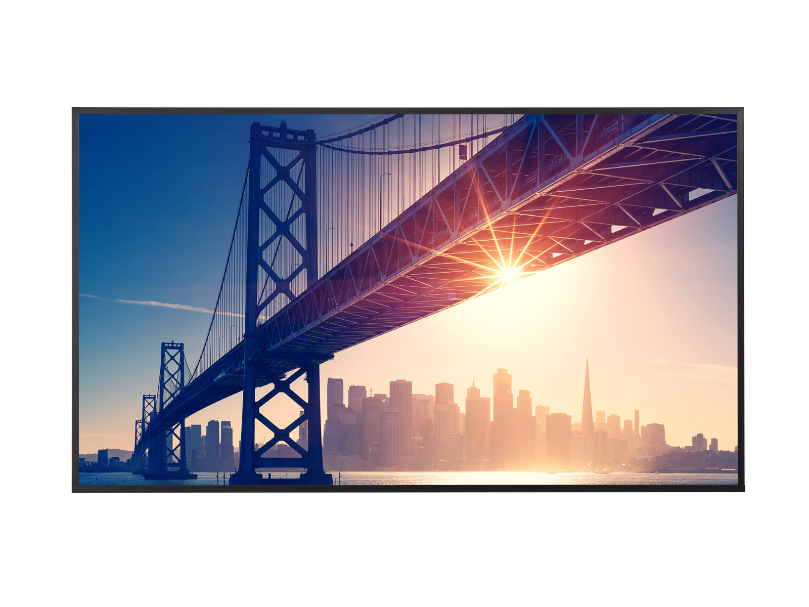 Sharp MultiSync® ME652 65" Display - Image 3